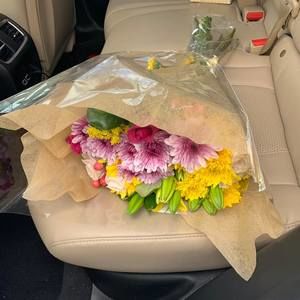 Meet your Posher, Rhina